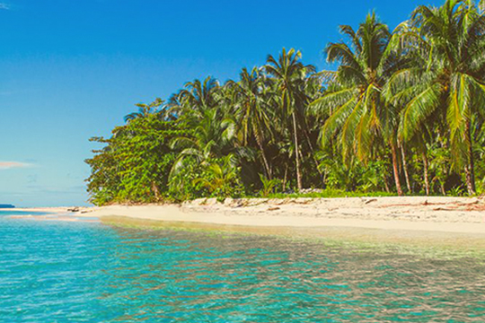 Bocas del Toro