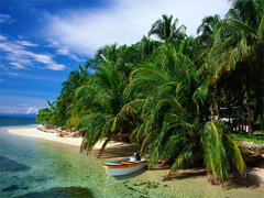 Bocas del Toro
