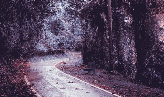 Cerro Ancón