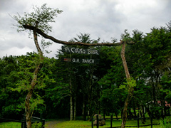 Cotito Boor