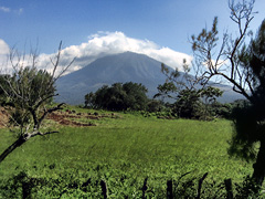 Guanacaste